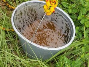 Bucket of water