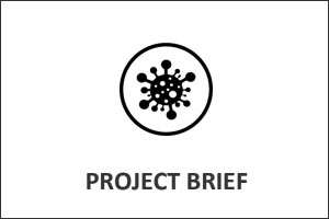 Project Brief Graphic